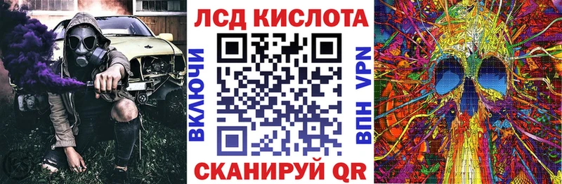 где можно купить   Белёв  kraken зеркало  Марки N-bome 1500мкг 